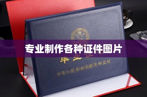 北市专业制作各种证件图片