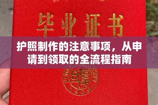 北市护照制作的注意事项，从申请到领取的全流程指南