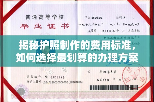 北市揭秘护照制作的费用标准，如何选择最划算的办理方案？