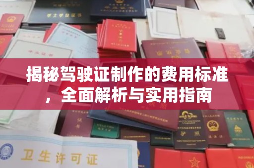 北市揭秘驾驶证制作的费用标准，全面解析与实用指南