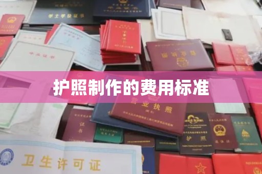 北市护照制作的费用标准