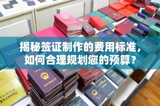 北市揭秘签证制作的费用标准，如何合理规划您的预算？