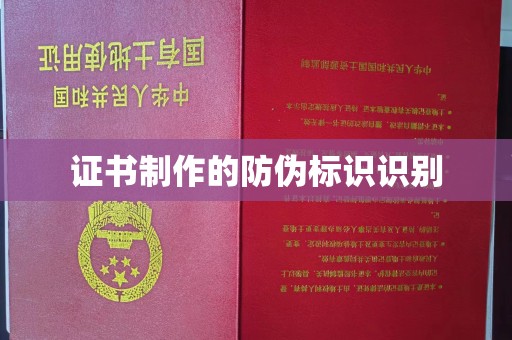北市证书制作的防伪标识识别
